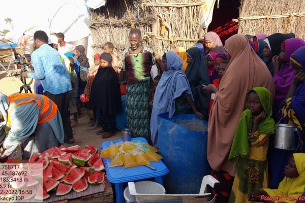 photo_2023-04-14_17-29-34-1